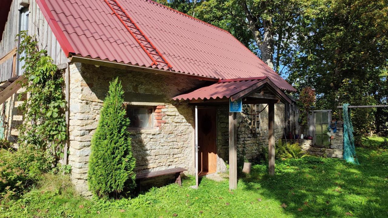 Viini Puhkemaja Guest House Mustjala Ngoại thất bức ảnh